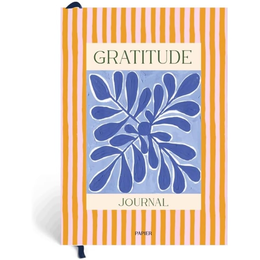 image:imagePapier Stay Grounded Gratitude Journal  Colorful Hardback  Daily Prompts Activities amp Monthly CheckIns  Undated Diary  For Affirmation Reflection Mindfulness amp Meditation  Self Care Gift